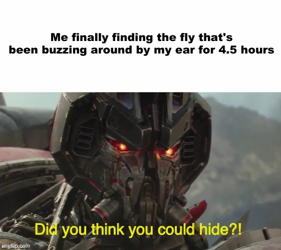 Did you think you could hide? | Me finally finding the fly that's been buzzing around by my ear for 4.5 hours | image tagged in did you think you could hide,funny,memes,flies,hello fellow tag-reader | made w/ Imgflip meme maker