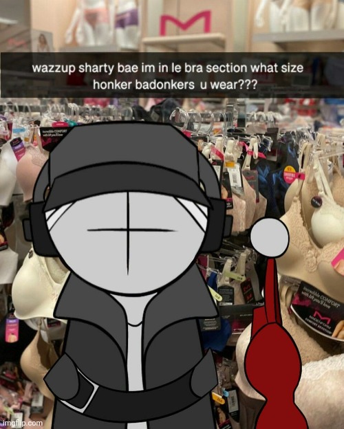 made w/ Imgflip meme maker