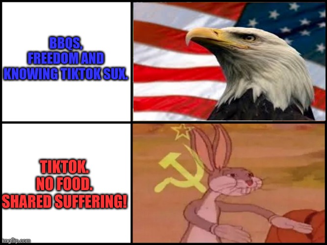 Freedom vs tiktok! | BBQS, FREEDOM AND KNOWING TIKTOK SUX. TIKTOK. NO FOOD. SHARED SUFFERING! | image tagged in capitalist and communist,tik tok sucks,no one likes that commie stuff | made w/ Imgflip meme maker