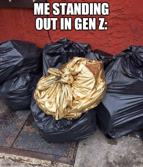 Gold Trash | ME STANDING OUT IN GEN Z: | image tagged in gold trash | made w/ Imgflip meme maker