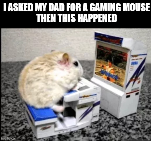 dad!!!!!!!!!!!!!! | I ASKED MY DAD FOR A GAMING MOUSE
THEN THIS HAPPENED | image tagged in nooo | made w/ Imgflip meme maker