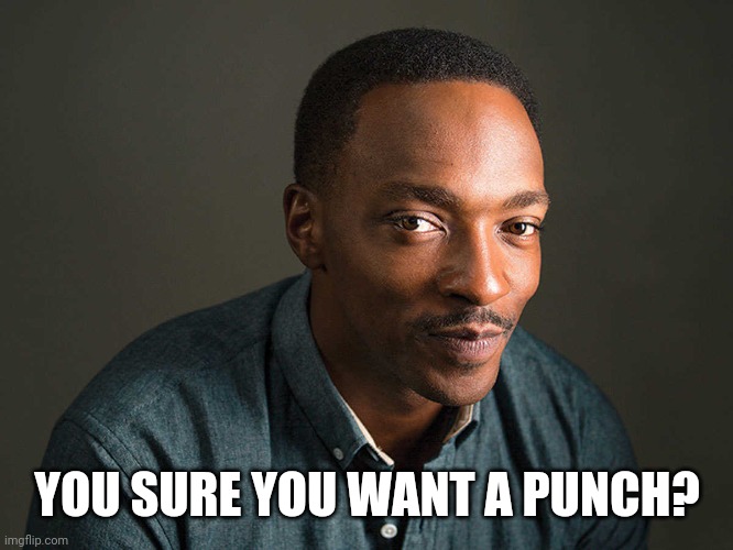 Anthony Mackie Knows | YOU SURE YOU WANT A PUNCH? | image tagged in anthony mackie knows | made w/ Imgflip meme maker