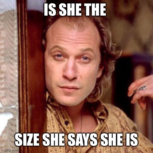 Buffalo Bill Silence of the lambs | IS SHE THE SIZE SHE SAYS SHE IS | image tagged in buffalo bill silence of the lambs | made w/ Imgflip meme maker
