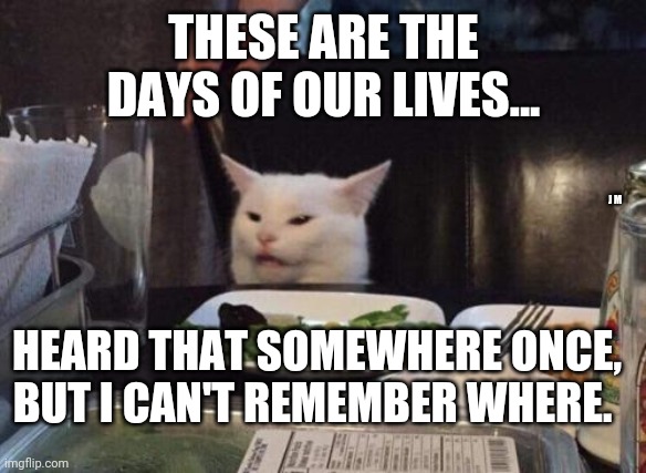 Salad cat | THESE ARE THE DAYS OF OUR LIVES... J M; HEARD THAT SOMEWHERE ONCE, BUT I CAN'T REMEMBER WHERE. | image tagged in salad cat | made w/ Imgflip meme maker
