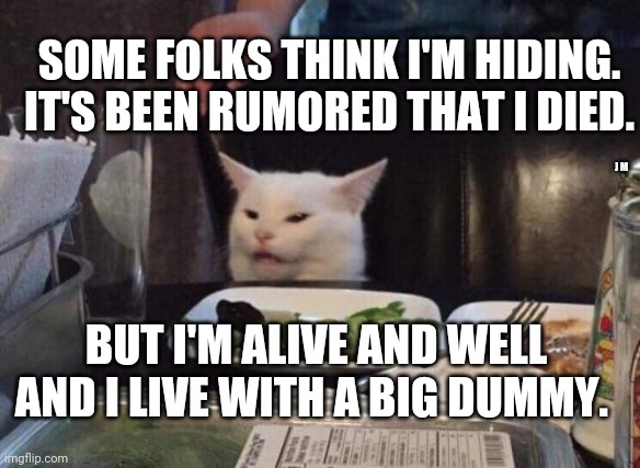 Salad cat | SOME FOLKS THINK I'M HIDING. IT'S BEEN RUMORED THAT I DIED. J M; BUT I'M ALIVE AND WELL AND I LIVE WITH A BIG DUMMY. | image tagged in salad cat | made w/ Imgflip meme maker