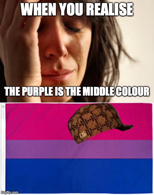 I've been drawing it wrong my whole life | WHEN YOU REALISE; THE PURPLE IS THE MIDDLE COLOUR | image tagged in memes,first world problems,bisexual flag | made w/ Imgflip meme maker