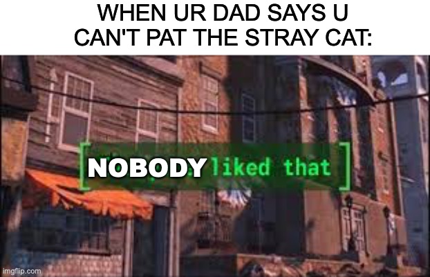 boo hoo :((( | WHEN UR DAD SAYS U CAN'T PAT THE STRAY CAT:; NOBODY | image tagged in everyone liked that | made w/ Imgflip meme maker