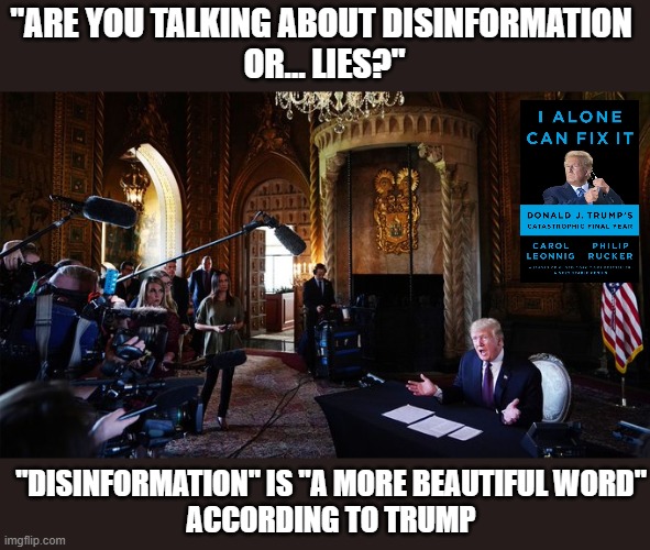 Pulitizer journalists asked Trump why he tells the public things not true, he replied... | "ARE YOU TALKING ABOUT DISINFORMATION 
OR... LIES?"; "DISINFORMATION" IS "A MORE BEAUTIFUL WORD"
ACCORDING TO TRUMP | image tagged in trump,the big lie,propaganda,malignant narcissism,conman,i alone can fix it | made w/ Imgflip meme maker