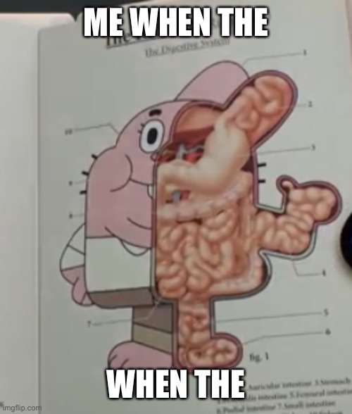 Richard Watterson anatomy | ME WHEN THE; WHEN THE | image tagged in richard watterson anatomy | made w/ Imgflip meme maker