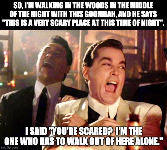 Dark | SO, I'M WALKING IN THE WOODS IN THE MIDDLE OF THE NIGHT WITH THIS GOOMBAH, AND HE SAYS "THIS IS A VERY SCARY PLACE AT THIS TIME OF NIGHT". I SAID "YOU'RE SCARED?  I'M THE ONE WHO HAS TO WALK OUT OF HERE ALONE." | image tagged in memes,good fellas hilarious | made w/ Imgflip meme maker