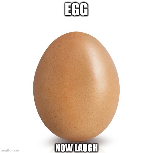  EGG; NOW LAUGH | image tagged in eggs,egg,memes,funny memes | made w/ Imgflip meme maker