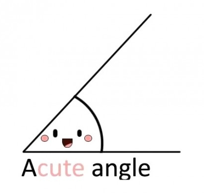 image tagged in math,funny,cute