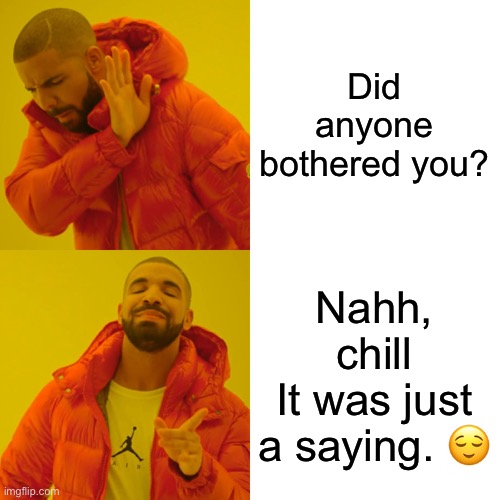Drake Hotline Bling Meme | Did anyone bothered you? Nahh, chill
It was just a saying. 😌 | image tagged in memes,drake hotline bling | made w/ Imgflip meme maker
