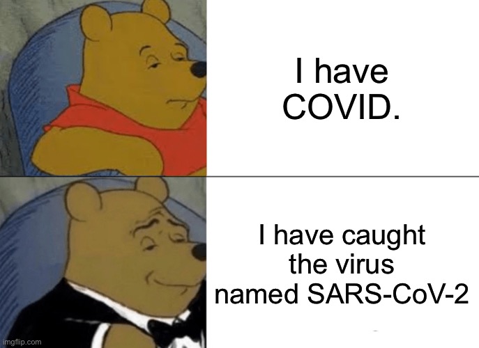 Winnie the Pooh has COVID | I have COVID. I have caught the virus named SARS-CoV-2 | image tagged in memes,tuxedo winnie the pooh | made w/ Imgflip meme maker