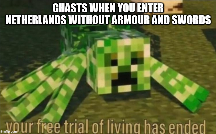 notch please remove ghasts | GHASTS WHEN YOU ENTER NETHERLANDS WITHOUT ARMOUR AND SWORDS | image tagged in ghasts bad | made w/ Imgflip meme maker