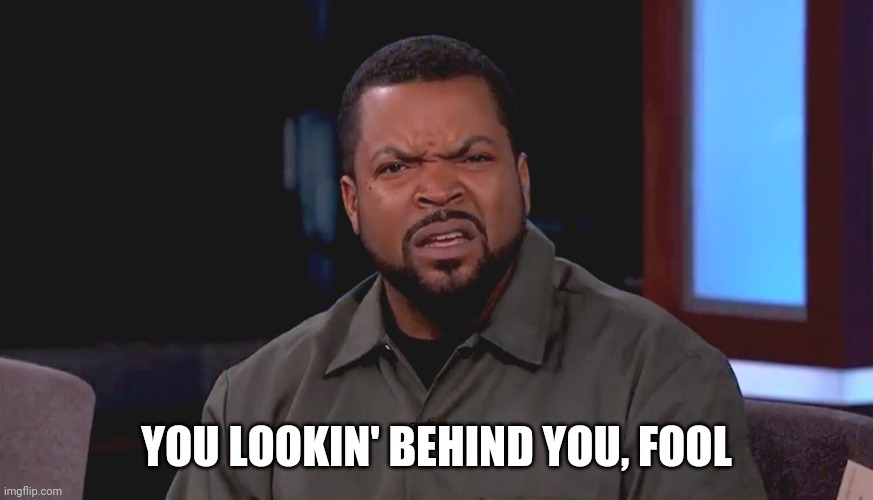 Really? Ice Cube | YOU LOOKIN' BEHIND YOU, FOOL | image tagged in really ice cube | made w/ Imgflip meme maker