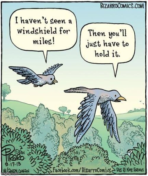 THAT EXPLAINS ALOT | image tagged in birds,bird,comics/cartoons | made w/ Imgflip meme maker