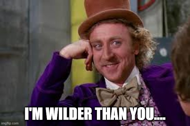Gene Wilder Students | I'M WILDER THAN YOU.... | image tagged in gene wilder students | made w/ Imgflip meme maker