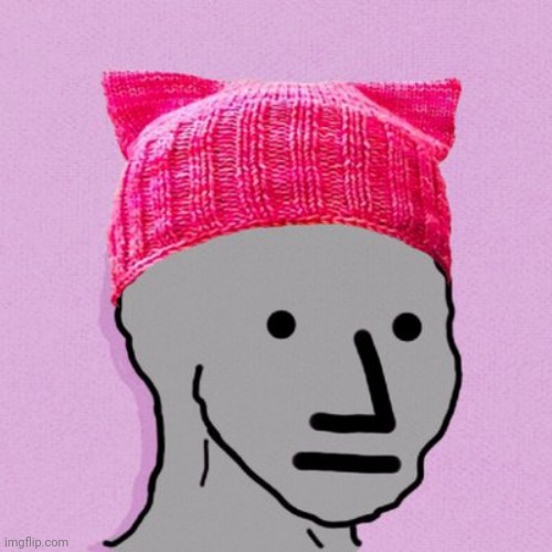 Feminazi NPC | image tagged in feminazi npc | made w/ Imgflip meme maker