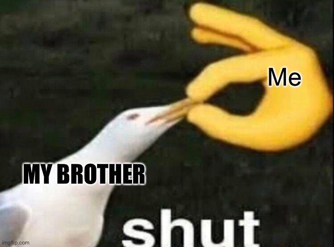 SHUT | Me; MY BROTHER | image tagged in shut | made w/ Imgflip meme maker