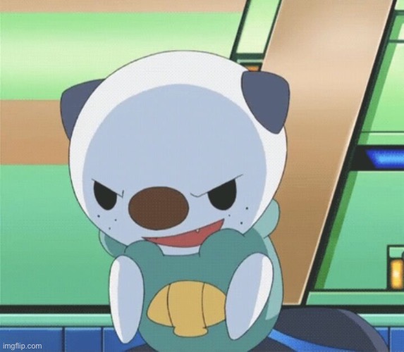 oshawott | image tagged in oshawott | made w/ Imgflip meme maker
