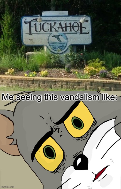 Fuckahoe!? | Me seeing this vandalism like: | image tagged in memes,unsettled tom,funny,vandalism,funny vandalism | made w/ Imgflip meme maker