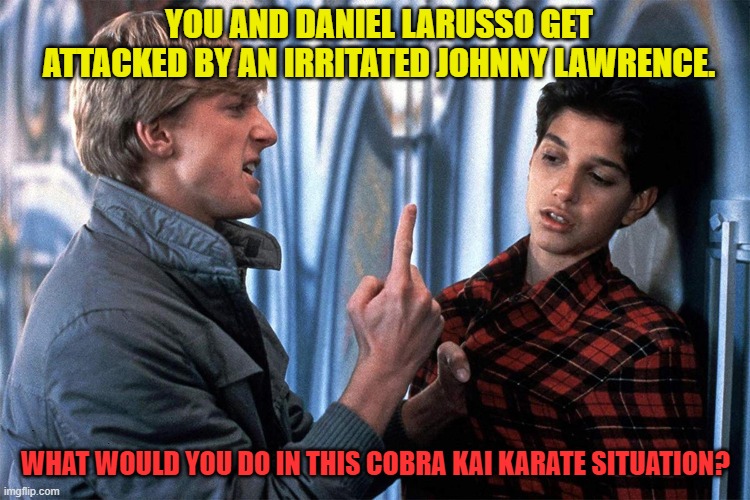 What if you and Daniel get bullied by Johnny | YOU AND DANIEL LARUSSO GET ATTACKED BY AN IRRITATED JOHNNY LAWRENCE. WHAT WOULD YOU DO IN THIS COBRA KAI KARATE SITUATION? | image tagged in karate kyle | made w/ Imgflip meme maker