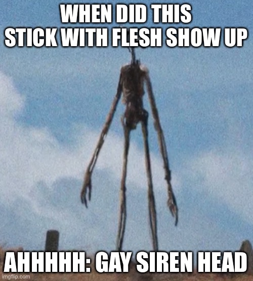 siren head |  WHEN DID THIS STICK WITH FLESH SHOW UP; AHHHHH: GAY SIREN HEAD | image tagged in siren head | made w/ Imgflip meme maker