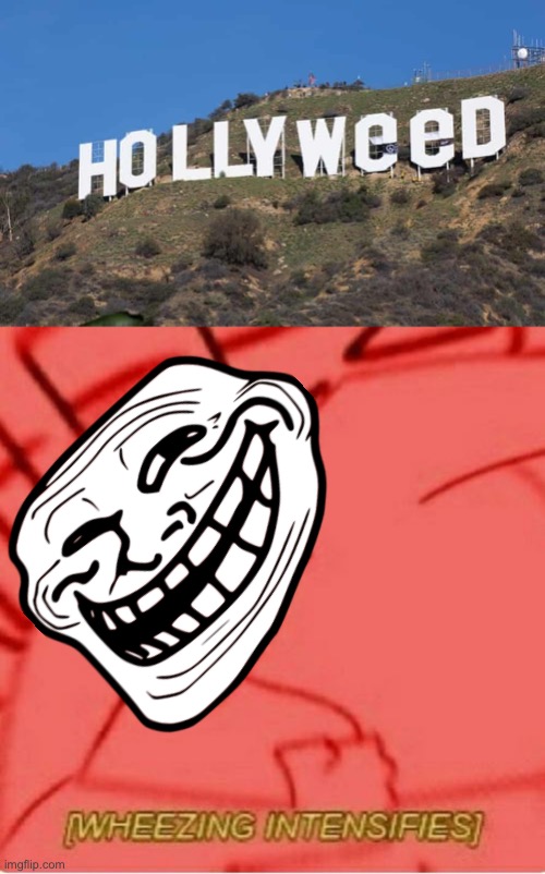 Hollyweed = Trolled Hollywood by prankster | image tagged in wheeze,trolled,memes,funny,hollywood,vandalism | made w/ Imgflip meme maker