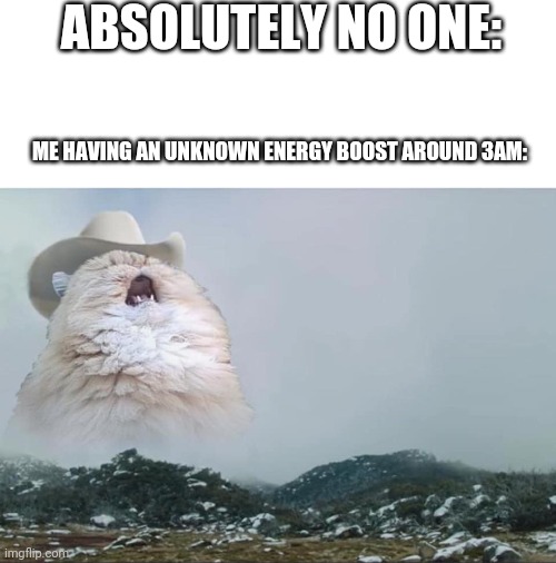 This is actually true | ABSOLUTELY NO ONE:; ME HAVING AN UNKNOWN ENERGY BOOST AROUND 3AM: | image tagged in screaming cowboy cat,memes,cat | made w/ Imgflip meme maker