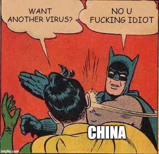 Batman Slapping Robin Meme | WANT ANOTHER VIRUS? NO U FUCKING IDIOT CHINA | image tagged in memes,batman slapping robin | made w/ Imgflip meme maker