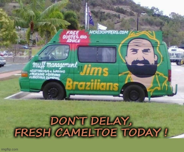 Don`t delay, fresh camel-toe today ! | DON`T DELAY,
FRESH CAMELTOE TODAY ! | image tagged in brazilian | made w/ Imgflip meme maker