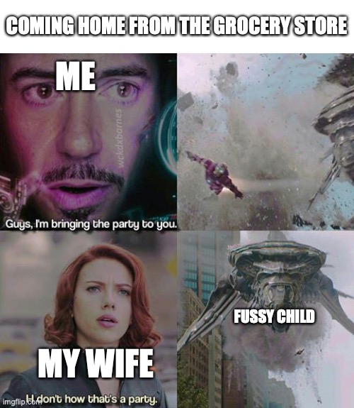 Bringing the party home | COMING HOME FROM THE GROCERY STORE; ME; MY WIFE; FUSSY CHILD | image tagged in avengers party,grocery store,kids,cranky kids,fussy kids,tantrum | made w/ Imgflip meme maker