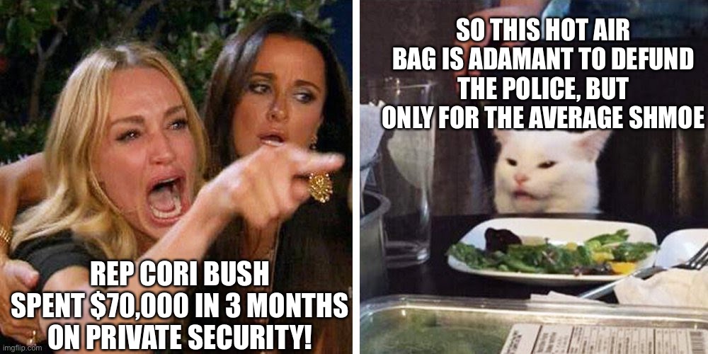 Cori Bush Barks Defund The Police While Spending $70k in 3 months on Private Security | SO THIS HOT AIR BAG IS ADAMANT TO DEFUND THE POLICE, BUT ONLY FOR THE AVERAGE SHMOE; REP CORI BUSH SPENT $70,000 IN 3 MONTHS ON PRIVATE SECURITY! | image tagged in smudge the cat,cori bush hypocrite,memes,defund the police,cori bush private security | made w/ Imgflip meme maker