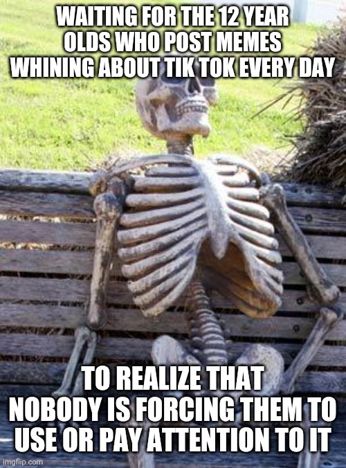Calm yourselves, children | WAITING FOR THE 12 YEAR OLDS WHO POST MEMES WHINING ABOUT TIK TOK EVERY DAY; TO REALIZE THAT NOBODY IS FORCING THEM TO USE OR PAY ATTENTION TO IT | image tagged in memes,waiting skeleton,tiktok,tik tok | made w/ Imgflip meme maker