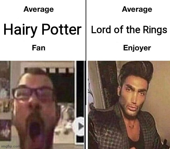 Average Fan vs. Average Enjoyer | Hairy Potter; Lord of the Rings | image tagged in average fan vs average enjoyer,harry potter,lord of the rings | made w/ Imgflip meme maker
