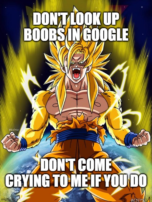don't | DON'T LOOK UP BOOBS IN GOOGLE; DON'T COME CRYING TO ME IF YOU DO | image tagged in goku,meme | made w/ Imgflip meme maker