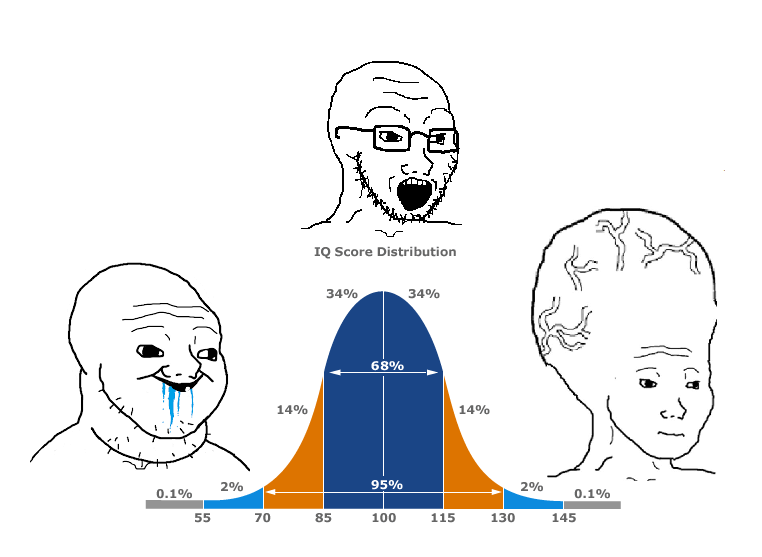 IQ bell curve school Blank Template Imgflip