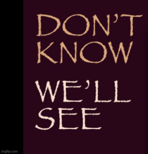 Don’t know we’ll see | image tagged in don t know we ll see | made w/ Imgflip meme maker