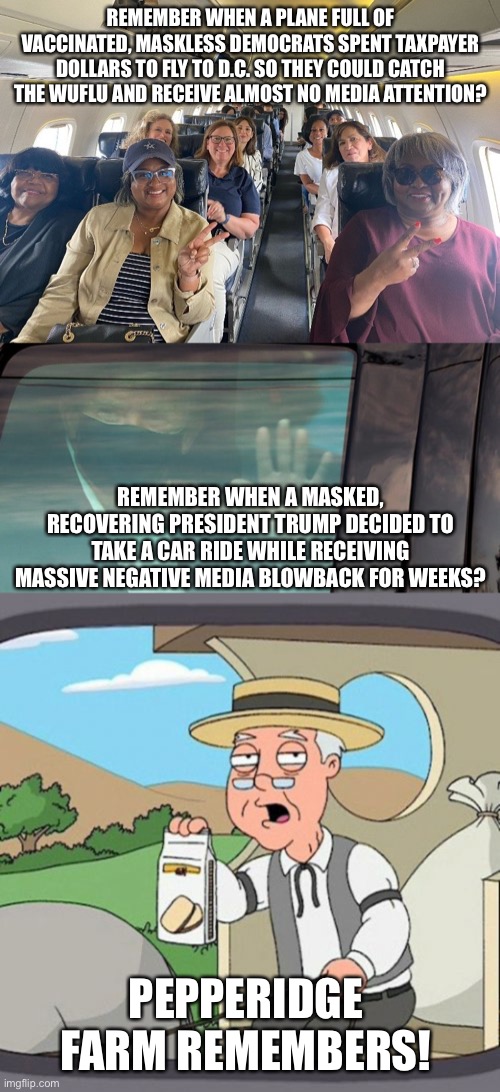 Pepperidge Farm Remembers the hypocrisy |  REMEMBER WHEN A PLANE FULL OF VACCINATED, MASKLESS DEMOCRATS SPENT TAXPAYER DOLLARS TO FLY TO D.C. SO THEY COULD CATCH THE WUFLU AND RECEIVE ALMOST NO MEDIA ATTENTION? REMEMBER WHEN A MASKED, RECOVERING PRESIDENT TRUMP DECIDED TO TAKE A CAR RIDE WHILE RECEIVING MASSIVE NEGATIVE MEDIA BLOWBACK FOR WEEKS? PEPPERIDGE FARM REMEMBERS! | image tagged in memes,pepperidge farm remembers | made w/ Imgflip meme maker