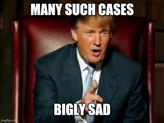 Donald Trump | MANY SUCH CASES BIGLY SAD | image tagged in donald trump | made w/ Imgflip meme maker