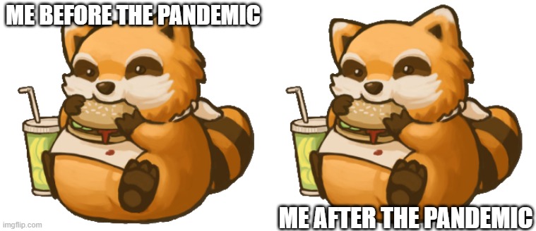 I can't lie, ths is 100% me | ME BEFORE THE PANDEMIC; ME AFTER THE PANDEMIC | image tagged in gaming,projectzomboid,zombies,indiegames | made w/ Imgflip meme maker