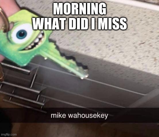 mike wahousekey | MORNING
WHAT DID I MISS | image tagged in mike wahousekey | made w/ Imgflip meme maker
