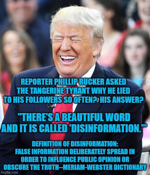 I wonder how it feels to be disinformed? | REPORTER PHILLIP RUCKER ASKED THE TANGERINE TYRANT WHY HE LIED TO HIS FOLLOWERS SO OFTEN?  HIS ANSWER? "THERE'S A BEAUTIFUL WORD AND IT IS CALLED 'DISINFORMATION.'"; DEFINITION OF DISINFORMATION:
FALSE INFORMATION DELIBERATELY SPREAD IN ORDER TO INFLUENCE PUBLIC OPINION OR OBSCURE THE TRUTH--MERIAM-WEBSTER DICTIONARY | image tagged in politics | made w/ Imgflip meme maker