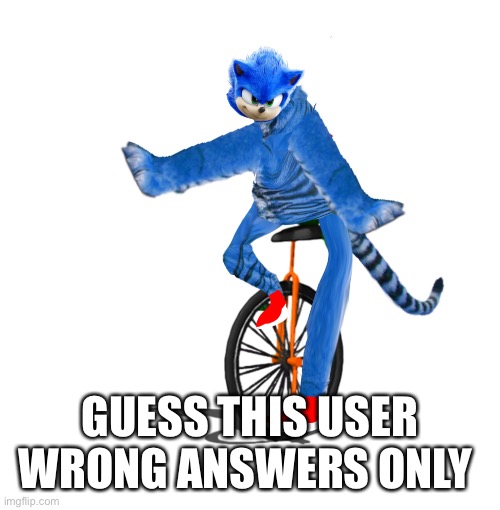 Dat boi sonictiger | GUESS THIS USER WRONG ANSWERS ONLY | made w/ Imgflip meme maker