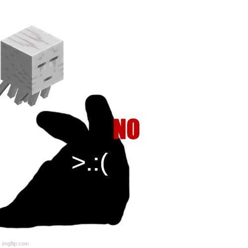 he protect da ghast | NO; >.:( | made w/ Imgflip meme maker
