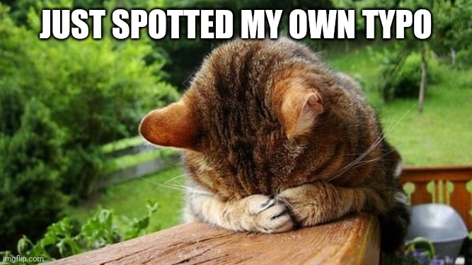 Embarrassed Cat | JUST SPOTTED MY OWN TYPO | image tagged in embarrassed cat | made w/ Imgflip meme maker