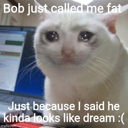 Bob is mean | Bob just called me fat; Just because I said he kinda looks like dream :( | image tagged in crying cat,sad,bob,fnf | made w/ Imgflip meme maker