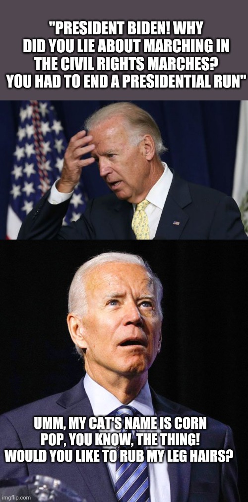 "PRESIDENT BIDEN! WHY DID YOU LIE ABOUT MARCHING IN THE CIVIL RIGHTS MARCHES? YOU HAD TO END A PRESIDENTIAL RUN" UMM, MY CAT'S NAME IS CORN  | image tagged in joe biden worries,joe biden | made w/ Imgflip meme maker