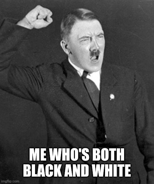 Angry Hitler | ME WHO'S BOTH BLACK AND WHITE | image tagged in angry hitler | made w/ Imgflip meme maker